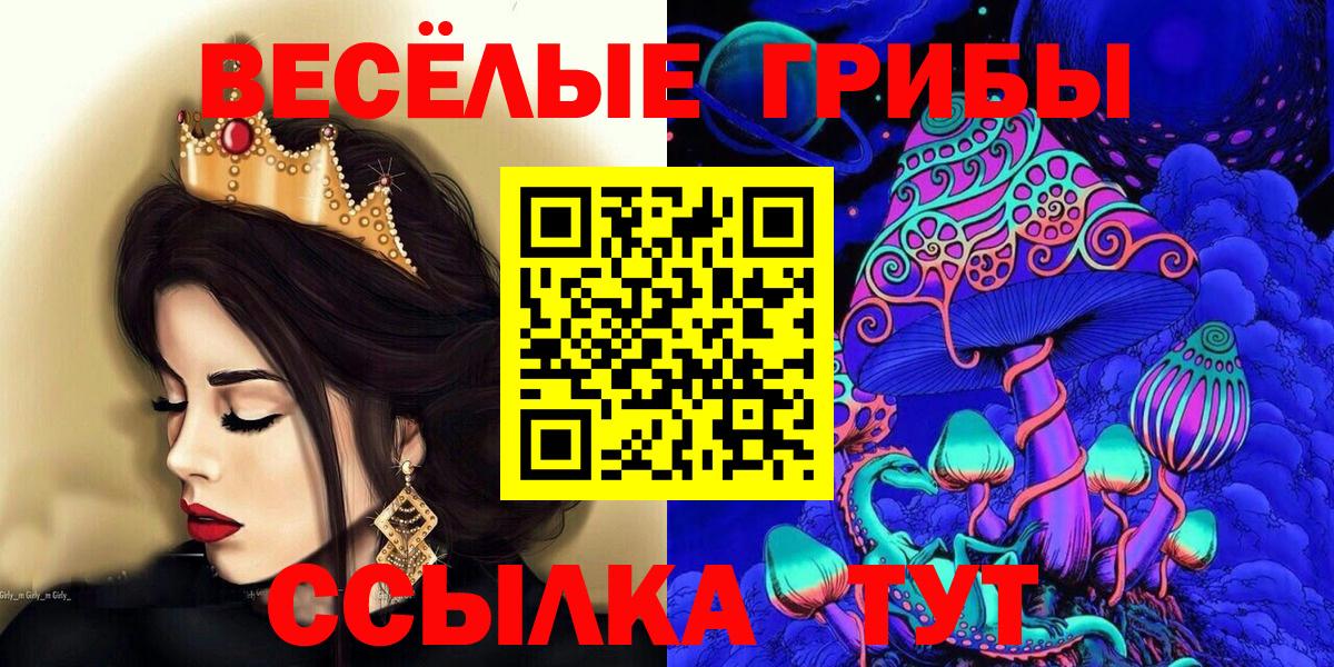 Галлюциногенные грибы Psilocybe  Вход с VPN  Киселёвск  Галлюциногенные грибы Cubensis 
